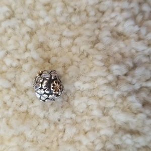 Orginal pandora charm